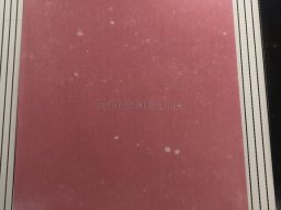 Exposición de Mutantes 2022